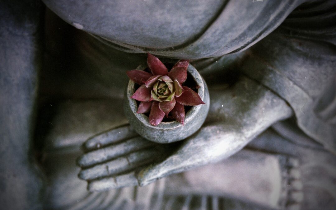 Méditation Non-duelle