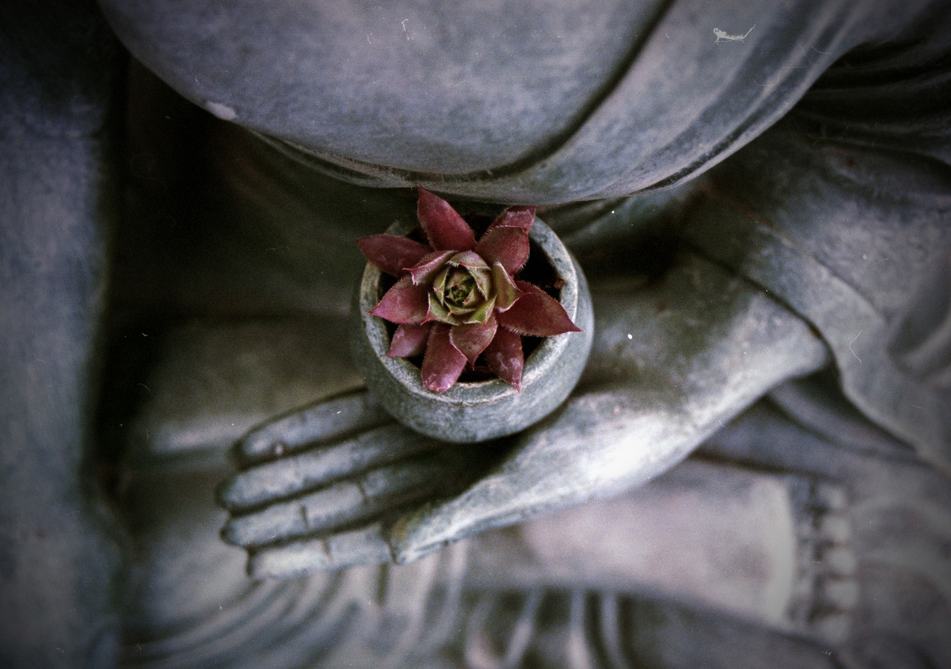 Méditation Non-duelle